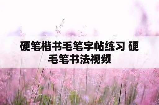 硬笔楷书毛笔字帖练习 硬毛笔书法视频